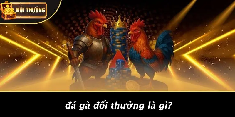 Đá gà đổi thưởng 1 Đá Gà Đổi Thưởng