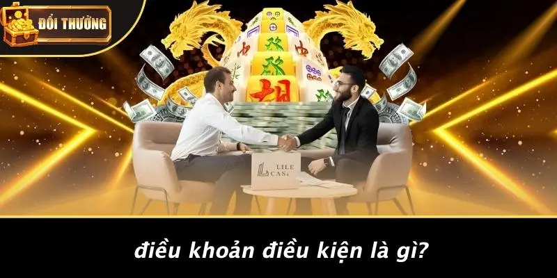 điều khoản điều kiện