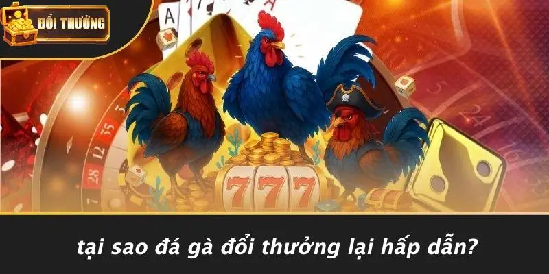 Đá gà đổi thưởng 2 Đá Gà Đổi Thưởng